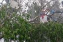 Ảnh hưởng bão số 9: EVNHCMC chủ động cắt điện khu vực ngập để đảm bảo an toàn cho nhân dân