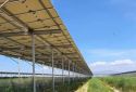 Điện mặt trời nông nghiệp không được coi là điện mặt trời mái nhà
