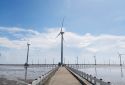 Nhiều địa phương kiến nghị gia hạn giá ưu đãi cho điện gió vì dịch Covid-19
