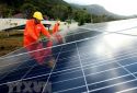 Đầu tư hơn 1.150 tỷ đồng xây dựng nhà máy điện Mặt Trời ở Long An