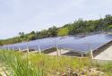 Điện mặt trời có thể “sống chung” với nông nghiệp