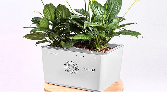 Dự án TreeOtek đem sản phẩm máy lọc không khí tích hợp cây thực vật có thể hấp thụ và chuyển hoá các chất ô nhiễm một cách tự nhiên, lọt top 20 cuộc thi. Ảnh: TreeOtek.