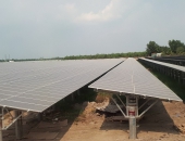 Thí điểm đấu thầu dự án điện mặt trời trong năm 2020?