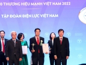 EVN được vinh danh TOP 10 Thương hiệu Mạnh Việt Nam 2022