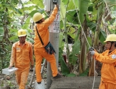 Ngành điện phía Nam chung tay xây dựng nông thôn mới