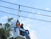 Chế tạo thiết bị chỉ thọ và cảnh cáo sự cố trên lưới điện trung áp