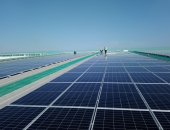 Lượng điện mặt trời cắt giảm năm 2021 sẽ tăng gấp 3,56 lần vì dư thừa